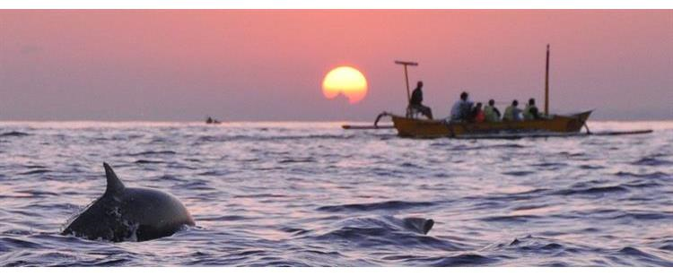 Pantai Lovina, Spot Panorama Matahari Terbit yang Eksotis di Bali