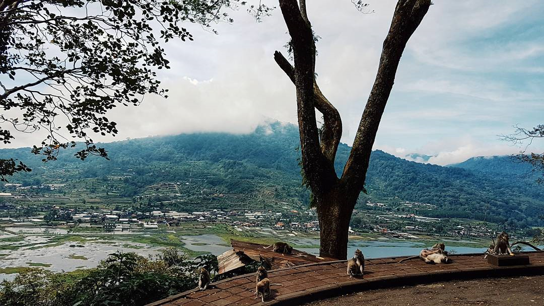 Liburan ke Bali, Saatnya Wisata ke Puncak Wanagiri!