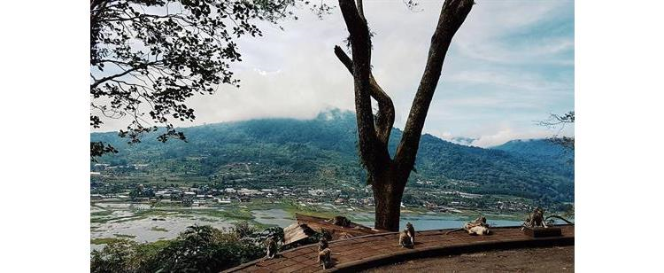 Liburan ke Bali, Saatnya Wisata ke Puncak Wanagiri!