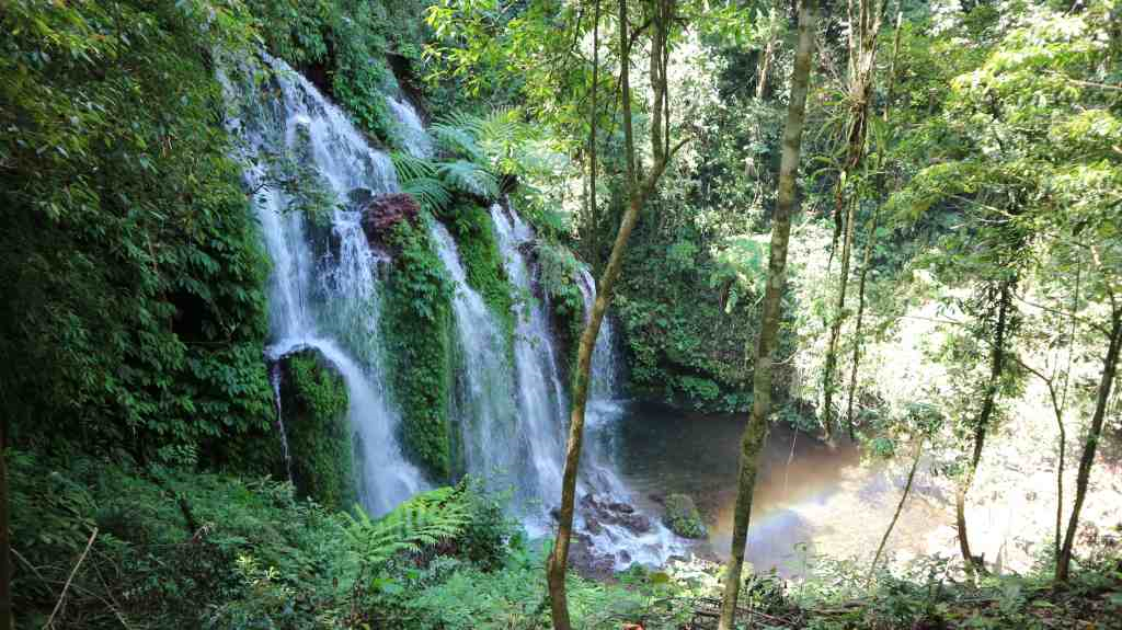 Air Terjun Wana Ayu, Mutiara Tersembunyi di Buleleng Bali