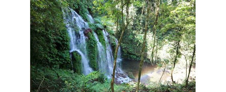 Air Terjun Wana Ayu, Mutiara Tersembunyi di Buleleng Bali