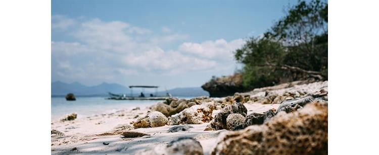 Nikmati Keindahan Pesona Pulau Menjangan, Surga Kecil di Bali Barat