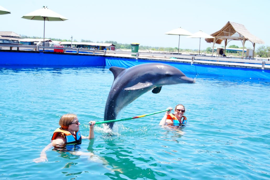 Here are What To Do when You Are Dolphin-Spotting in Lovina Beach