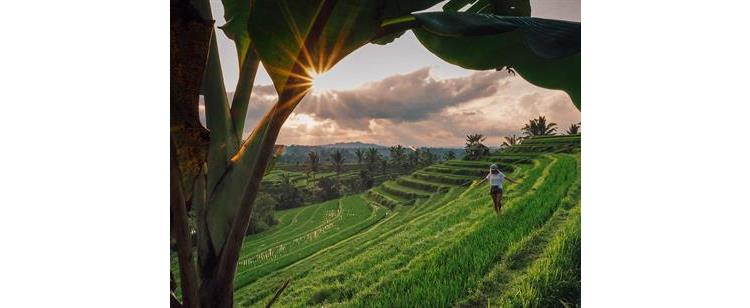 Back to Nature in Bali Hidden Paradise
